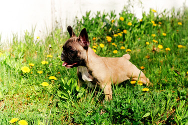 Similar image 1365580