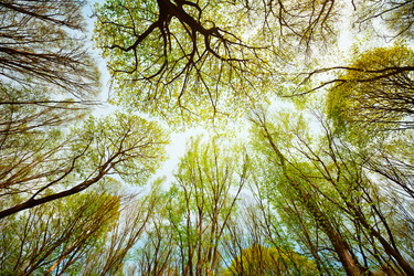 Similar image 1365582