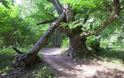 Similar image 1365613