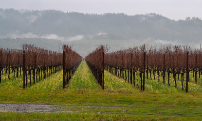 Similar image 1365618