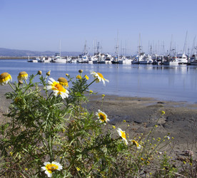 Similar image 1365620