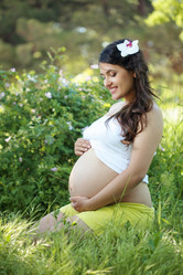 Similar image 1365636