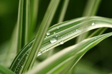 Similar image 1365712