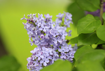 Similar image 1365716