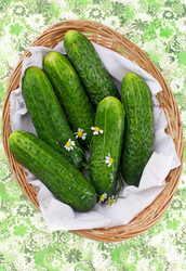 Similar image 1365717