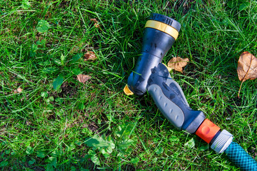 Similar image 1365737