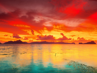 Similar image 1365769