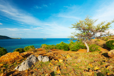 Similar image 1365772