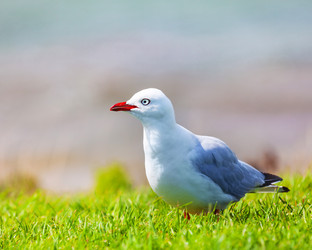 Similar image 1365791