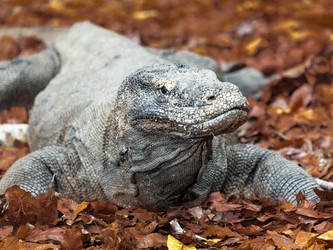 Similar image 1365793