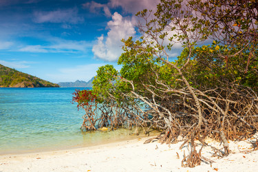 Similar image 1365803