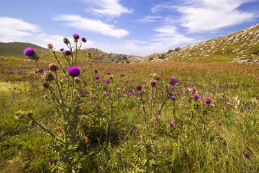 Similar image 1365831