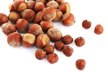 Similar image 1366002