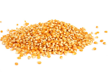 Similar image 1366005