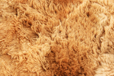 Similar image 1366007