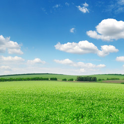 Similar image 1366177