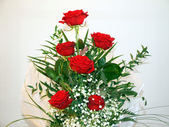 Similar image 1366318