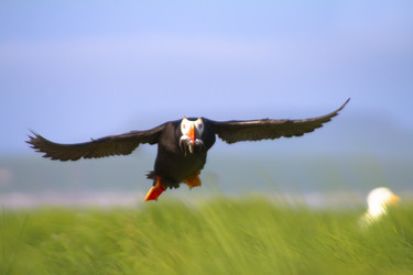 Similar image 1366537