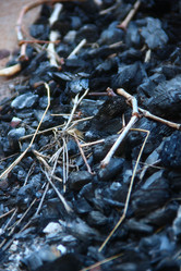 Similar image 1366540