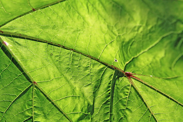 Similar image 1366549