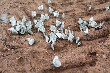 Similar image 1366551