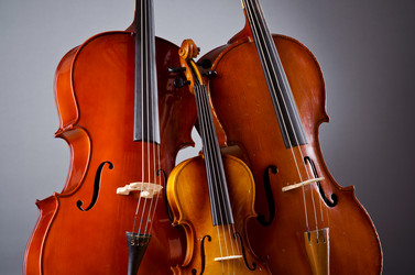 Similar image 1366578