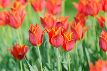 Similar image 1366586