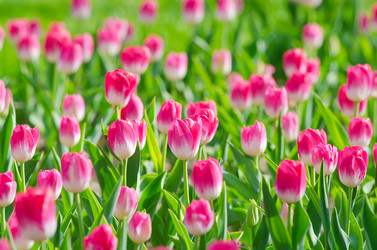 Similar image 1366588