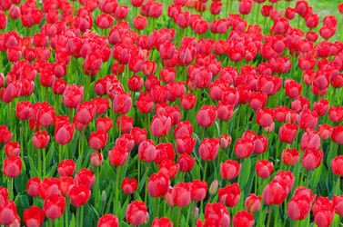 Similar image 1366589