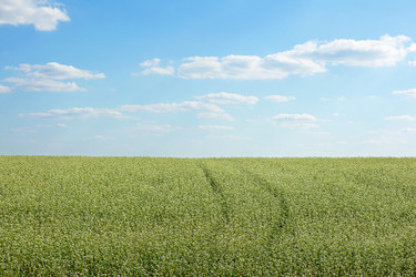 Similar image 1366599