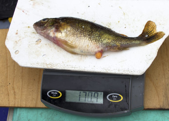 Similar image 1366602