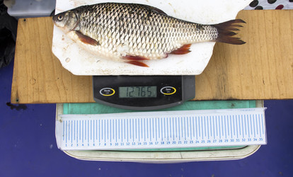 Similar image 1366603