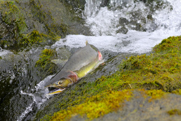 Similar image 1366620