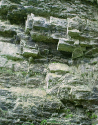 Similar image 1366657