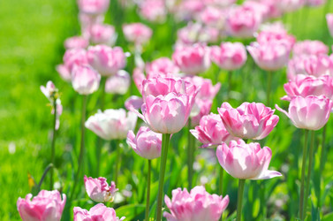 Similar image 1366662