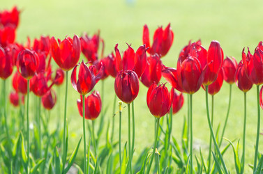 Similar image 1366663