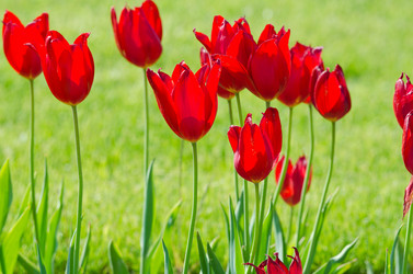 Similar image 1366664