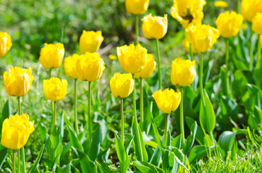 Similar image 1366665