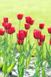 Similar image 1366691