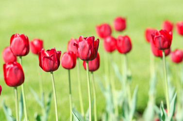 Similar image 1366692