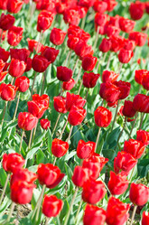 Similar image 1366693