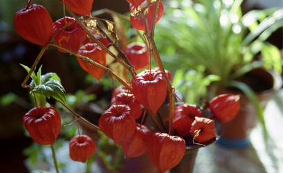 Similar image 1366840