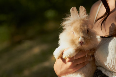 Similar image 1366841