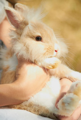 Similar image 1366843