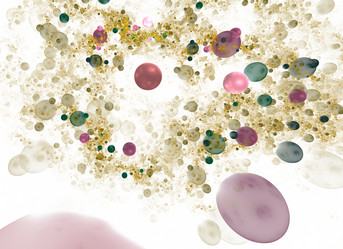 Similar image 1366970