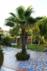 Similar image 1367049