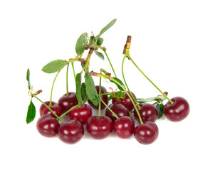 Similar image 1367108