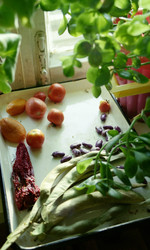 Similar image 1367116