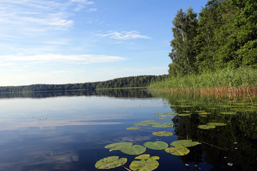 Similar image 1367119