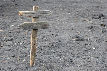 Similar image 1367602